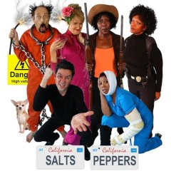 saltsandpeppers-cast